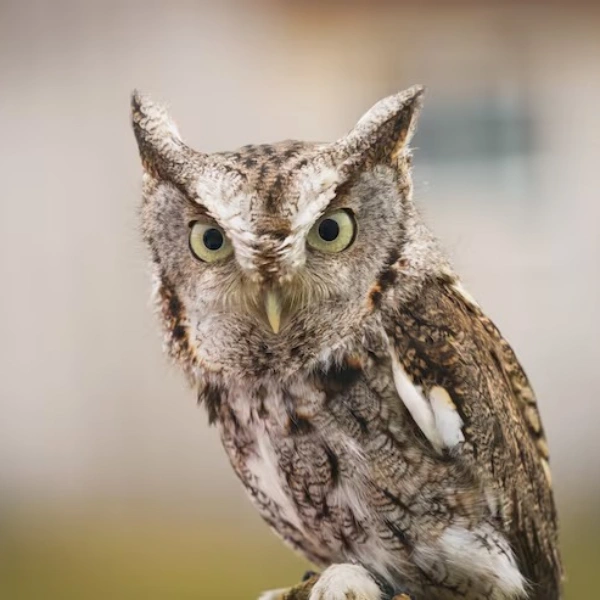 Medico veterinario de aves