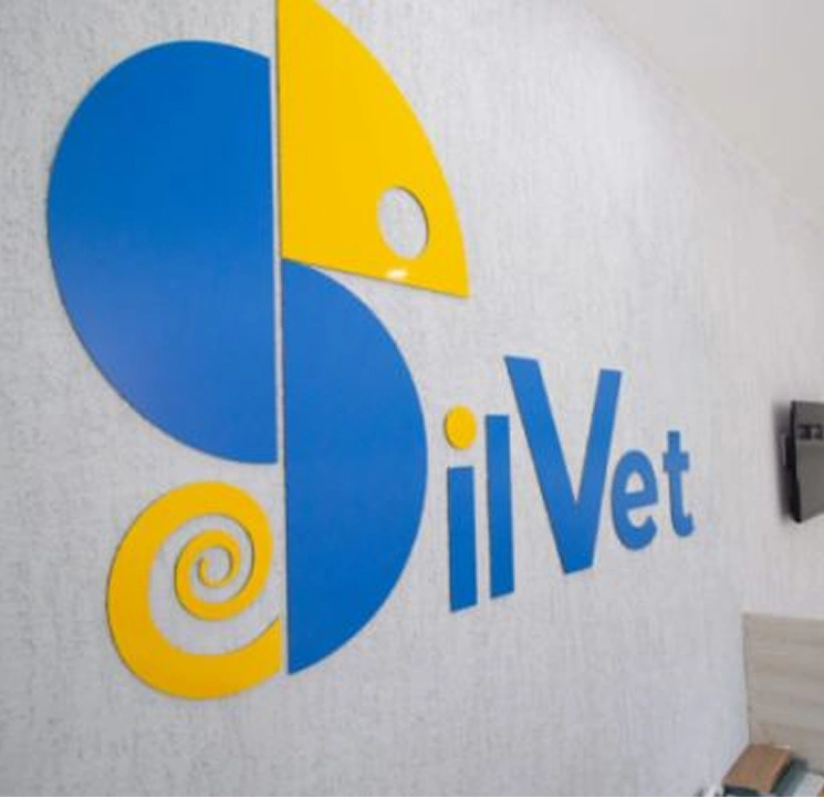 Silvet
