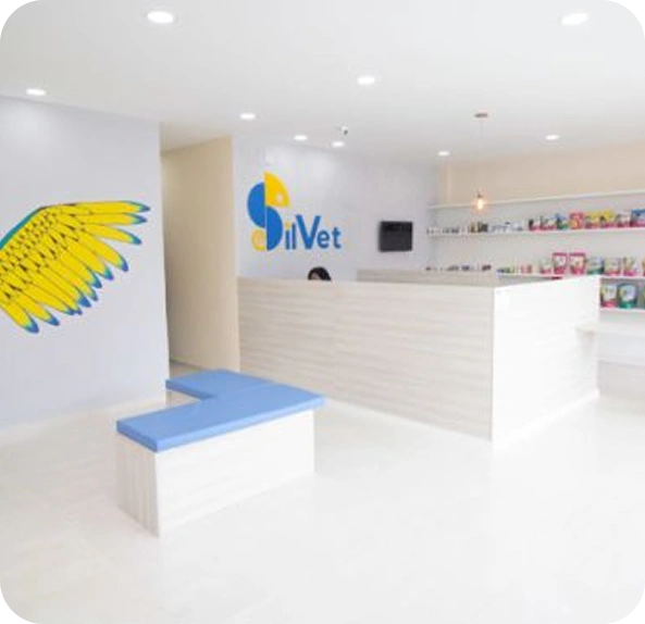 Image da Silvet