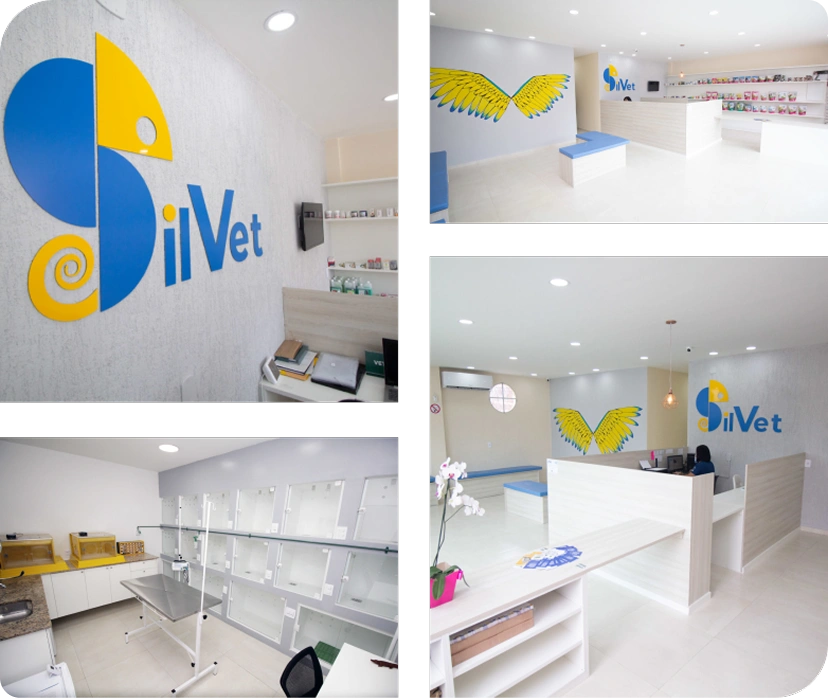 Silvet Silvet